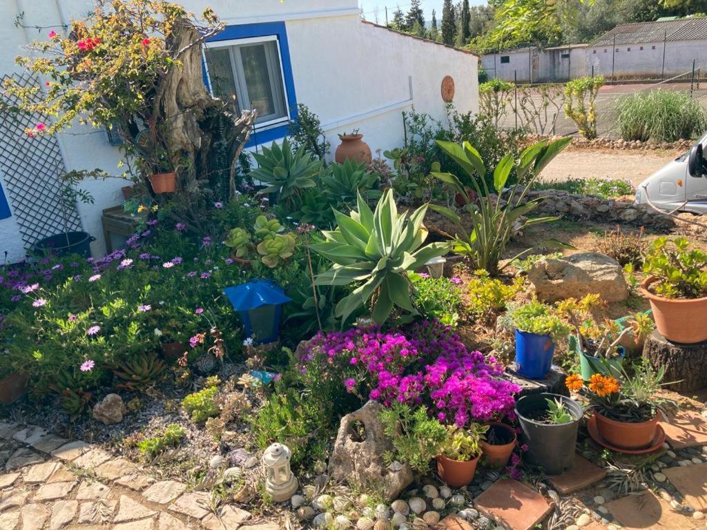 Casa Aleg Βίλα Αλμπουφέιρα Εξωτερικό φωτογραφία