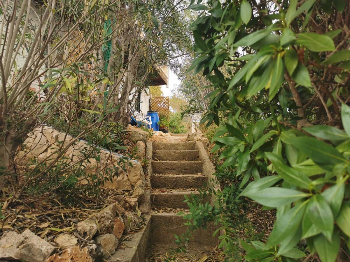 Casa Aleg Βίλα Αλμπουφέιρα Εξωτερικό φωτογραφία
