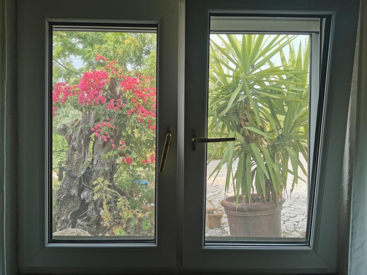 Casa Aleg Βίλα Αλμπουφέιρα Εξωτερικό φωτογραφία